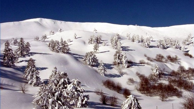 Το «έστρωσε» στη Βασιλίτσα