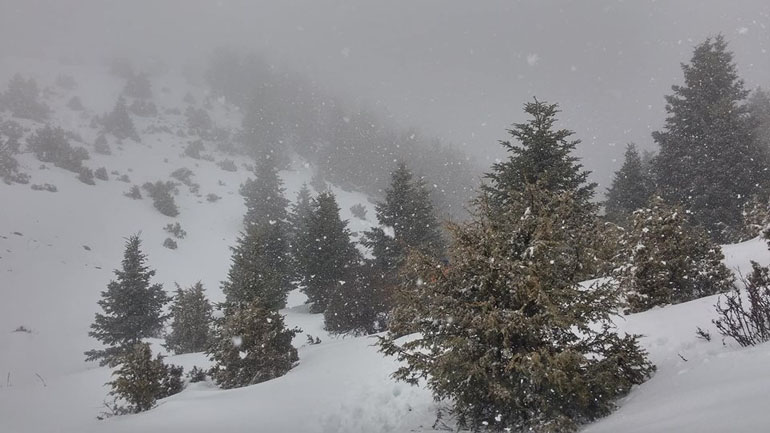 Ταϋγετος: Έπεσε το πρώτο χιόνι σε υψόμετρο 1.500 μέτρα