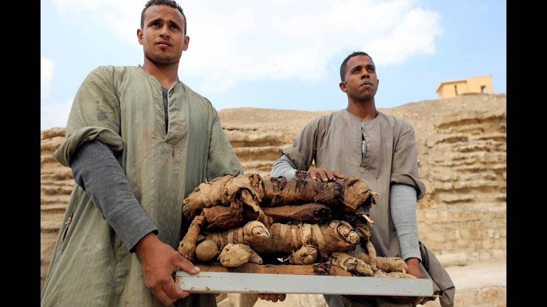 Αίγυπτος: Γάτες – μούμιες βρέθηκαν σε αρχαίους τάφους