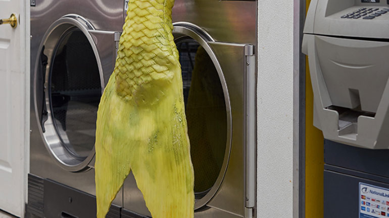 Η ουρά μιας γοργόνας «βγήκε» από ένα αυτόματο πλυντήριο