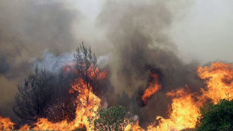 Ηράκλειο: Φωτιά στο Αμάρι