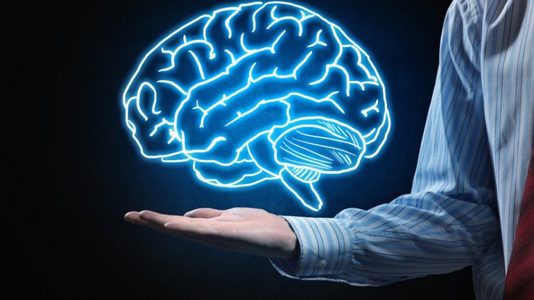 Υγιής γήρανση εγκεφάλου με δίαιτες χαμηλής περιεκτικότητας σε πρωτεΐνες