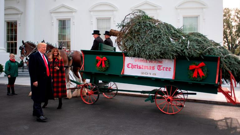 Με άμαξα έφτασε και εφέτος το χριστουγεννιάτικο δέντρο στον Λευκό Οίκο
