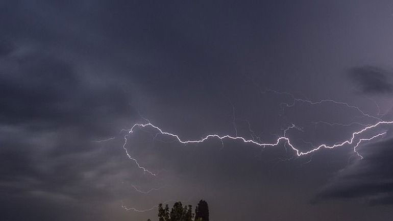 Τρίκαλα: Πρόβατα και δέματα με τριφύλλι κάηκαν από φωτιά που προκάλεσε κεραυνός