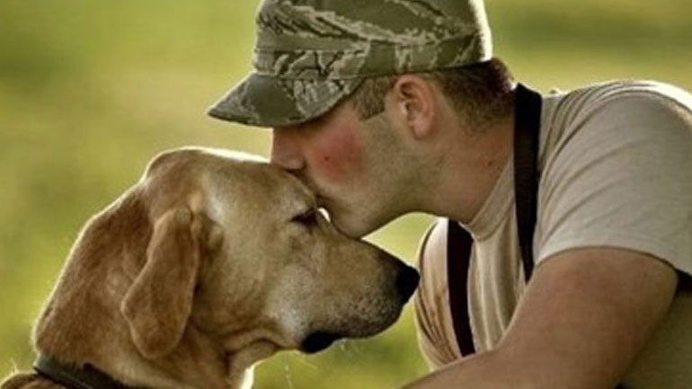 Ανθρώπινες συνήθειες που δεν αρέσουν στα σκυλιά