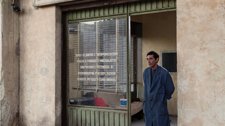 «Dogman» του Ματέο Γκαρόνε