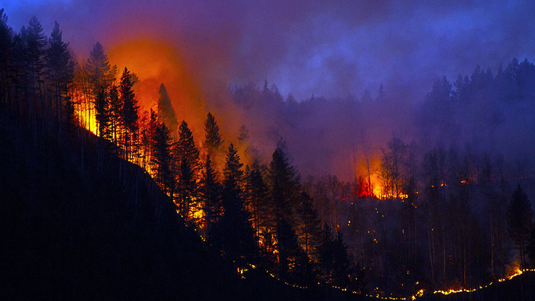 ΗΠΑ: Στους 86 οι νεκροί από τις πυρκαγιές στην Καλιφόρνια ΗΠΑ: Στους 86 οι νεκροί από τις πυρκαγιές στην Καλιφόρνια