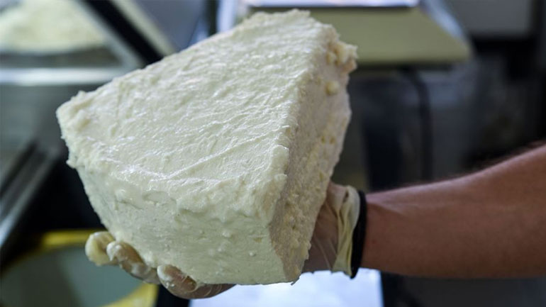 Οι κτηνοτρόφοι του Μεσοτόπου της Λέσβου θα παράγουν και θα πωλούν οι ίδιοι φέτα