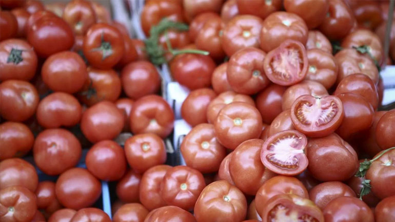 Κατασχέθηκαν ντομάτες Αλβανίας με υπολείμματα φυτοφαρμάκων