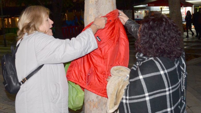 Έντυσαν με μπουφάν τα…δέντρα