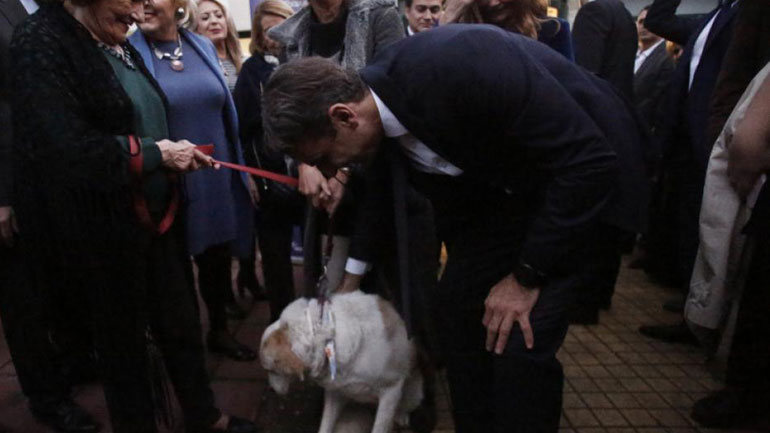 Ενστάσεις της Συνομοσπονδίας Ζωοφιλικών Σωματείων Ελλάδας σχετικά με την ομιλία Μητσοτάκη για τα ζώα συντροφιάς