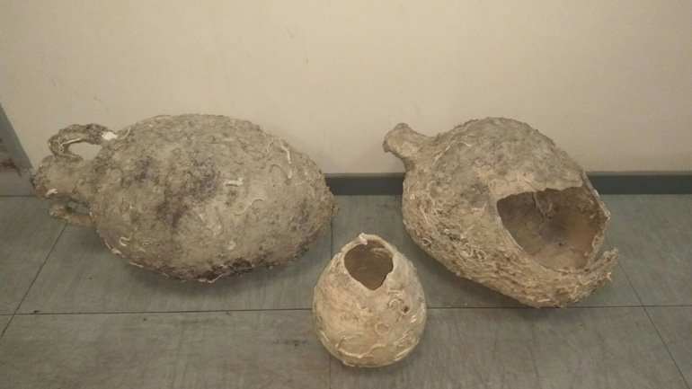 Ψαράδες βρήκαν στα δίχτυα τους αρχαίους αμφορείς