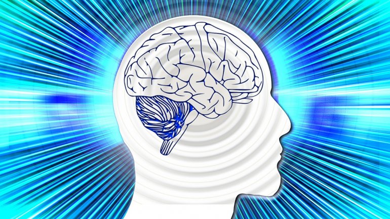 Πώς το στρες μπορεί να συρρικνώσει τον εγκέφαλό σας