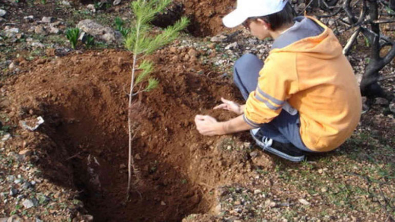 Εθελοντική αναδάσωση στο Ρέμα Χαλιδούς