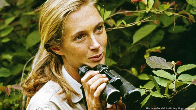 Η θρυλική Τζέιν Γκούντολ στο Ολύμπιον