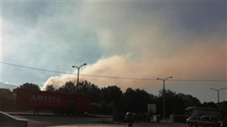 Ασφυκτική η  κατάσταση με τα πυρηνελαιουργεία στη ΒΙ.ΠΕ Πατρών