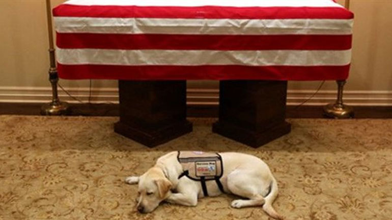 Δίπλα στο φέρετρο του Τζ. Μπους ο πιστός του σκύλος