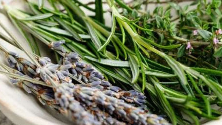 Τα βότανα που καταπολεμούν άγχος και στρες