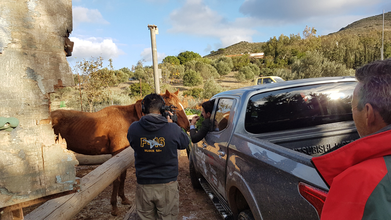 Ακόμα και άλογα συναντήσαμε κατά τη διάρκεια της δοκιμασίας!