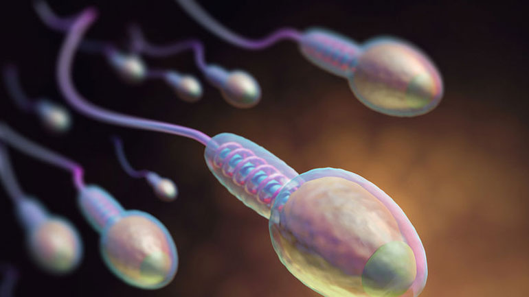 Ποιοι είναι οι παράγοντες που καθορίζουν την υγεία του σπέρματος