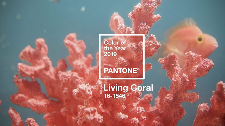Η Pantone ανακοίνωσε το χρώμα που επιλέχθηκε και θα επικρατήσει το 2019!