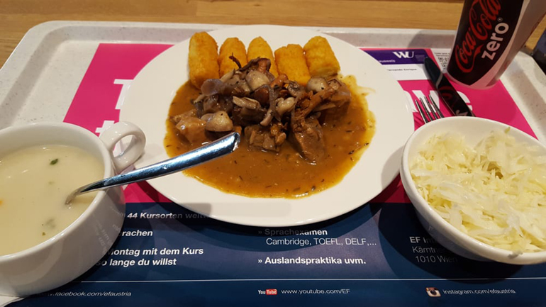 Αυστρία: Με εμβαδόν 10.000 τετραγωνικών μέτρων η μεγαλύτερη καντίνα της Ευρώπης