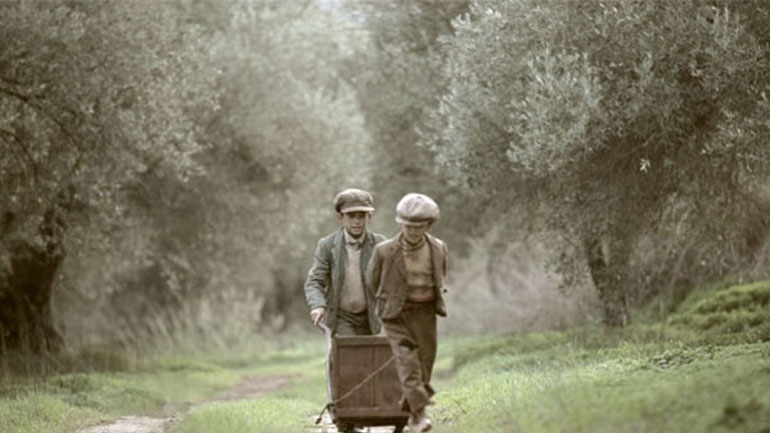 Το μάζεμα της ελιάς: Ένα εκπληκτικό φιλμ για μια ελληνική παράδοση αιώνων Το μάζεμα της ελιάς: Ένα εκπληκτικό φιλμ για μια ελληνική παράδοση αιώνων