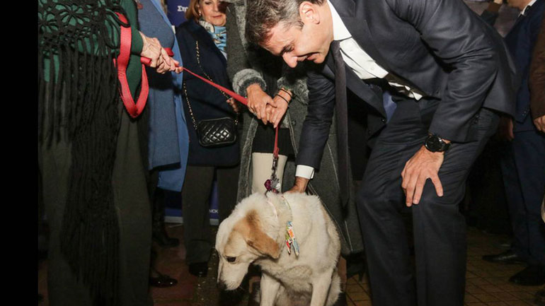 Ανακοίνωση της Ομοσπονδίας Γεωτεχνικών Δημοσίων Υπαλλήλων για την ομιλία Μητσοτάκη για τα ζώα