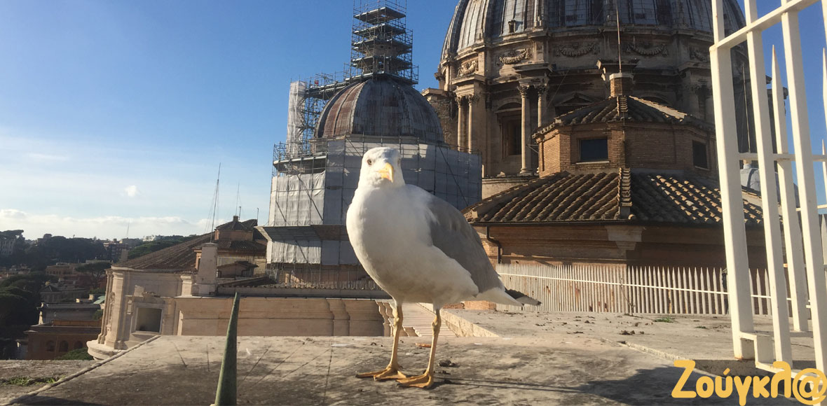 Στον τρούλο του Αγίου Πέτρου