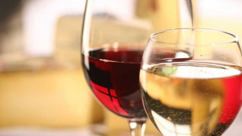 Οίνος ευφραίνει καρδίαν