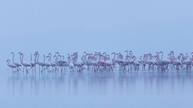 Το Γαλατικό χωριό της ΚΡΙ-ΚΡΙ