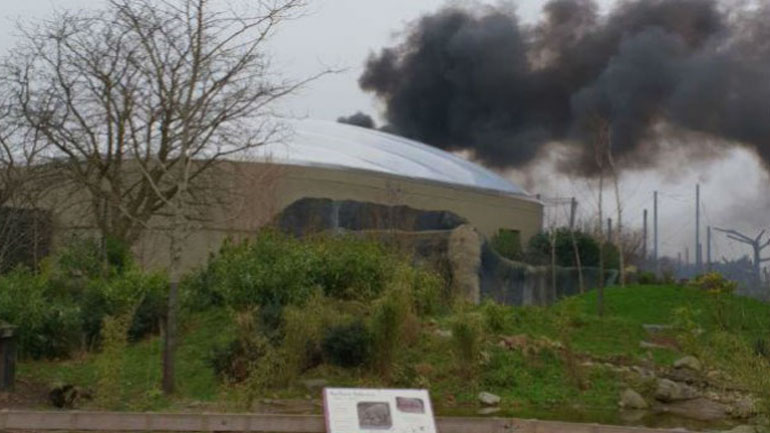 Βρετανία: Ασφαλή είναι όλα τα ζώα ζωολογικού κήπου ο οποίος εκκενώθηκε εξαιτίας πυρκαγιάς