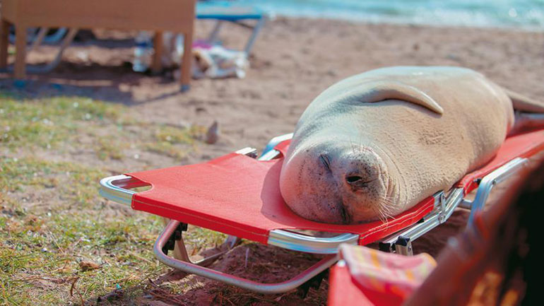 Μήνυση σε κάτοικο της Σάμου για τον θάνατο της Αργυρώς