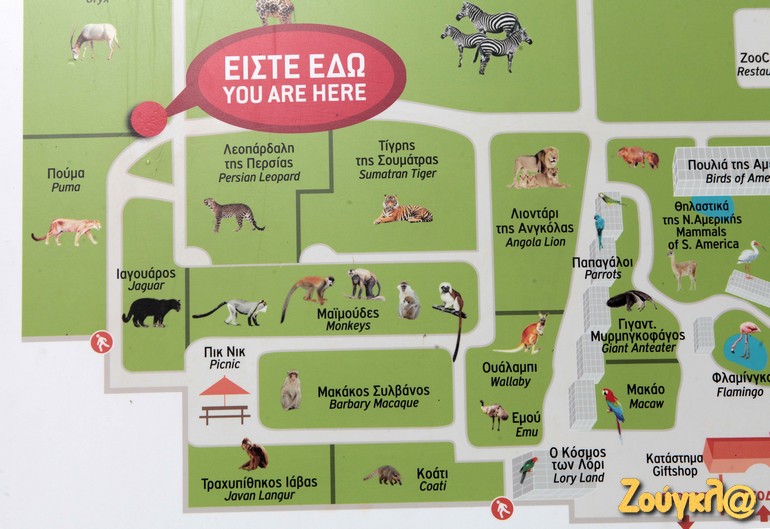 Ο χάρτης με τα ζώα