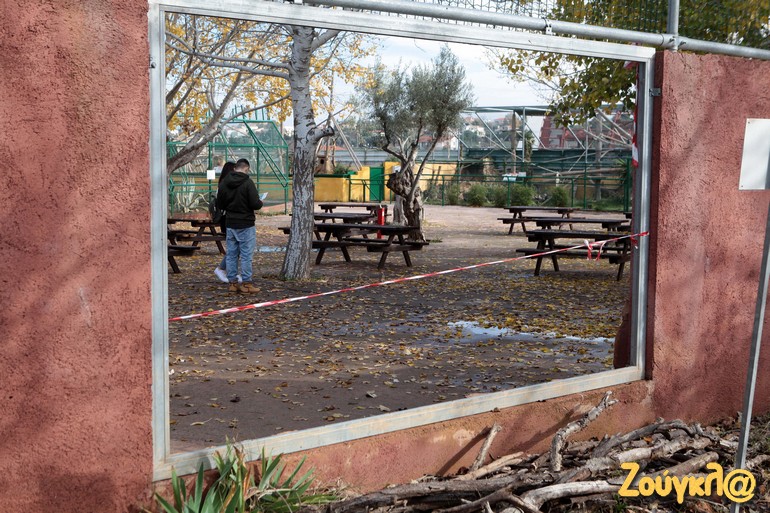 Ο χώρος όπου κρατούνταν οι ιαγουάροι παραμένει κενός, ενώ τα τα τζάμια θα αντικατασταθούν με πιο ισχυρά και αλεξίσφαιρα