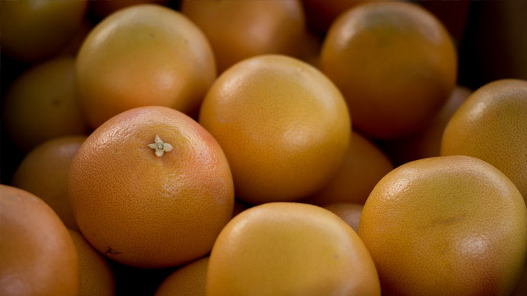 Δήμος Αθηναίων: Για κομποστοποίηση πέντε τόνοι φρούτα και λαχανικά από τις λαϊκές αγορές