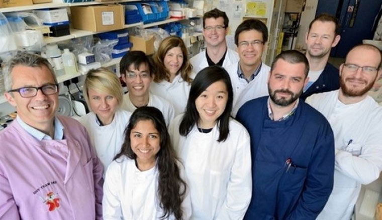 Η ερευνητική ομάδα