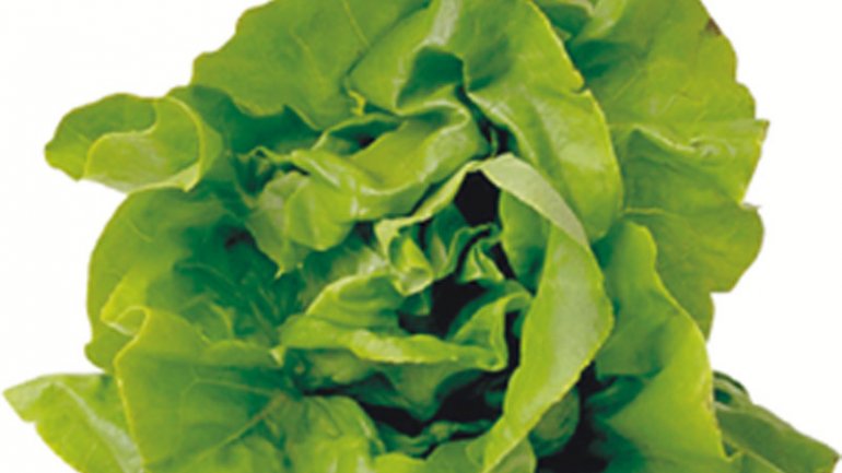 Τα πράσινα φυλλώδη λαχανικά αποτρέπουν τη συσσώρευση λίπους στο συκώτι