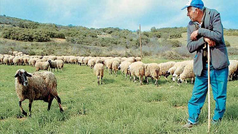 «Ούτε γκλίτσες ουτε τσοπάνηδες ξέρω»