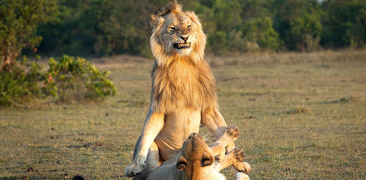 Το χαμόγελο της επιτυχίας
