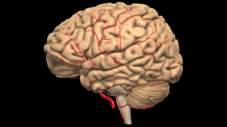 Ένας στους τέσσερις ανθρώπους άνω των 25 ετών κινδυνεύει με εγκεφαλικό