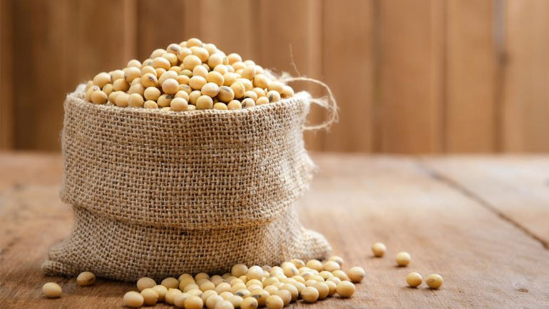Μπορεί η κατανάλωση σόγιας να επηρεάσει τα επίπεδα τεστοστερόνης των ανδρών;
