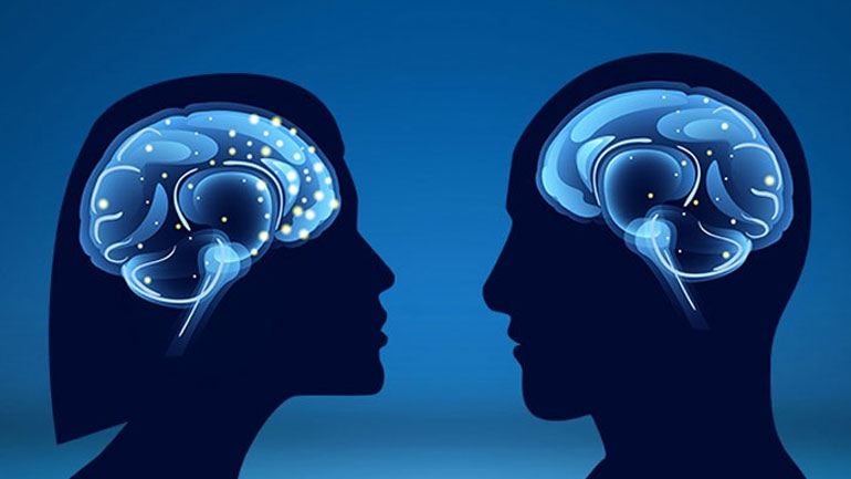 Το μέγεθος του εγκεφάλου δεν σχετίζεται με την ευφυΐα μας