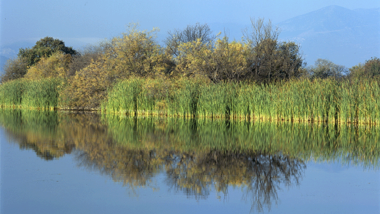 Ο ποταμός Πηνειός