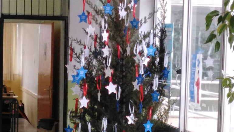 Αιτωλοακαρνανία: Δένδρο αγάπης από τους μαθητές του Γυμνασίου Ευηνοχωρίου