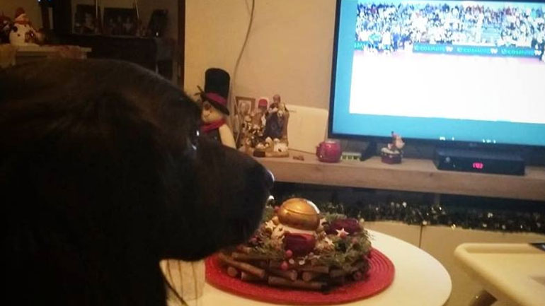 Ο Πάρης δεν χορταίνει να βλέπει τον Ήφαιστο Λήμνου!