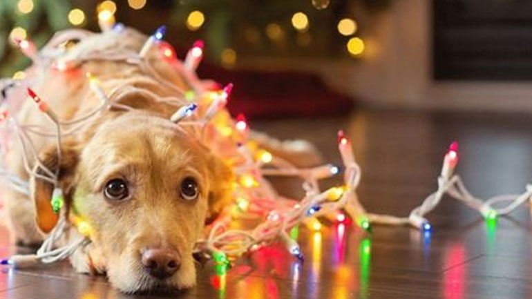 Πώς να αντιμετωπίσετε τη μελαγχολία των γιορτών