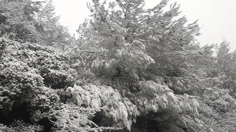 Στα λευκά «ντύθηκαν» ορεινά χωριά της Λέσβου