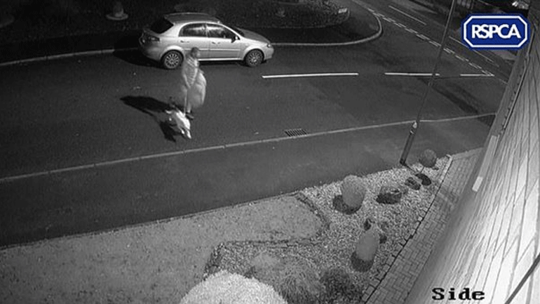 Βρετανία: Βίντεο με άνδρα να εγκαταλείπει τον σκύλο του στον δρόμο