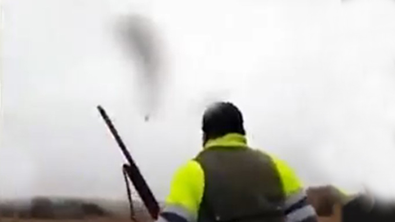 Βίντεο – ντοκουμέντο με κυνηγό να βασανίζει αλεπού στην Ισπανία